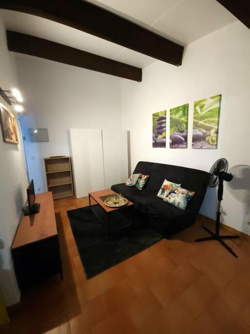 A 8 Mn A Pied Des Plages Appartement Avec Piscine Et Tennis Argeles-sur-Mer Luaran gambar